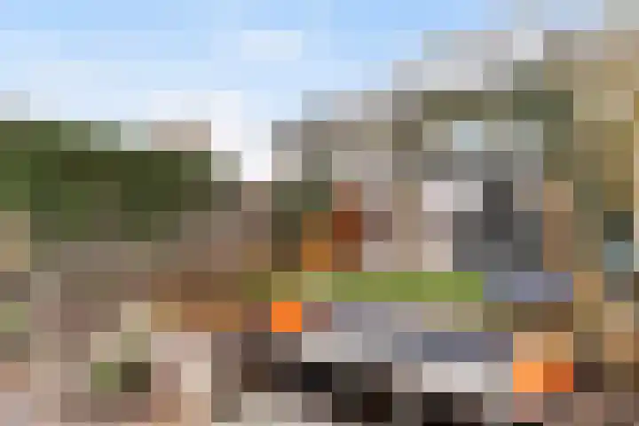 Sterremos 11 Reeuwijk thumbnail 5