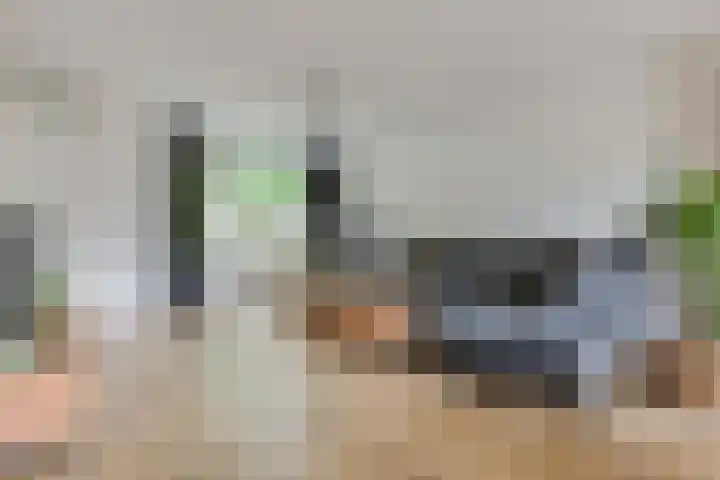 Sterremos 14 Bergschenhoek thumbnail 10