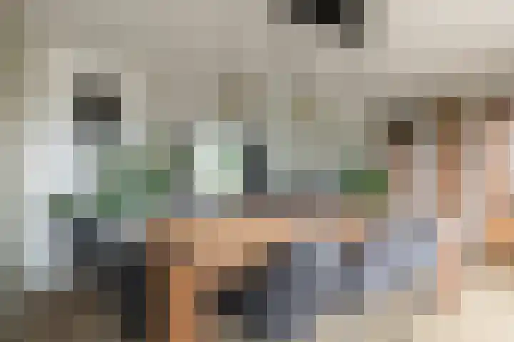 Sterremos 14 Bergschenhoek thumbnail 14