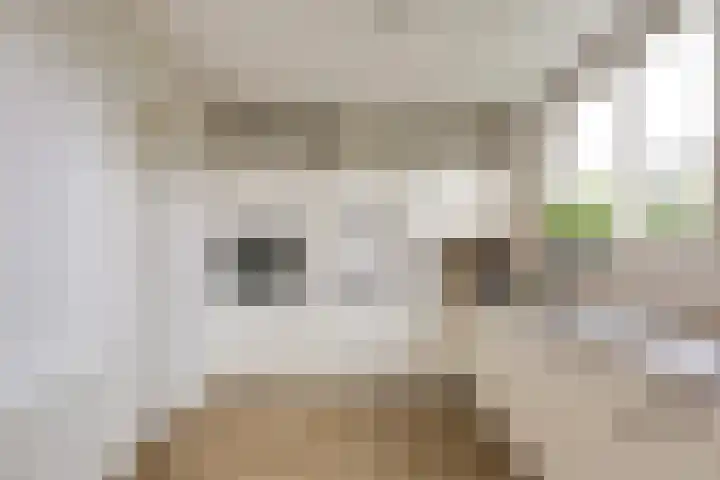 Sterremos 14 Bergschenhoek thumbnail 15