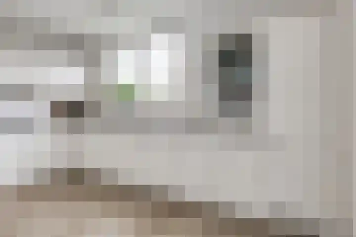 Sterremos 14 Bergschenhoek thumbnail 16