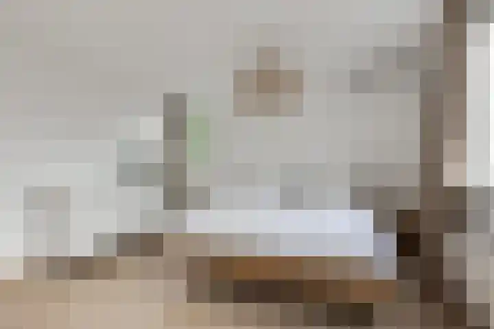 Sterremos 14 Bergschenhoek thumbnail 18