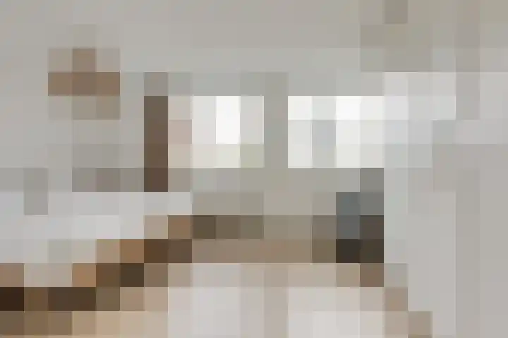 Sterremos 14 Bergschenhoek thumbnail 19