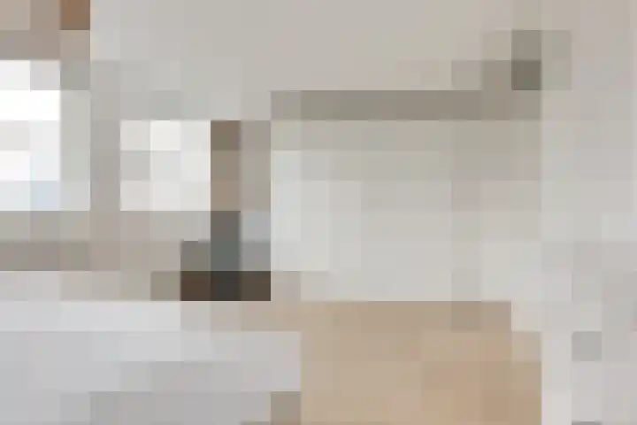 Sterremos 14 Bergschenhoek thumbnail 20