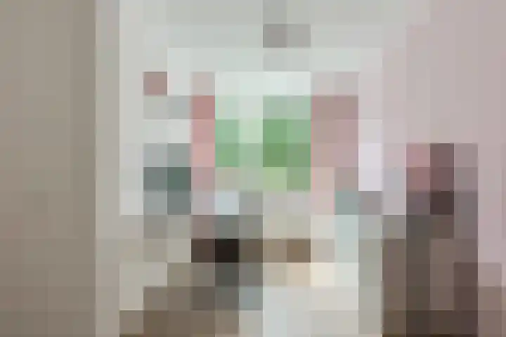 Sterremos 14 Bergschenhoek thumbnail 21