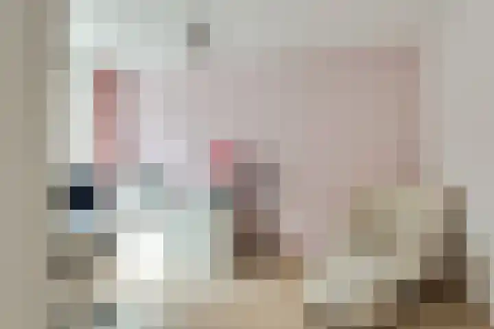 Sterremos 14 Bergschenhoek thumbnail 22