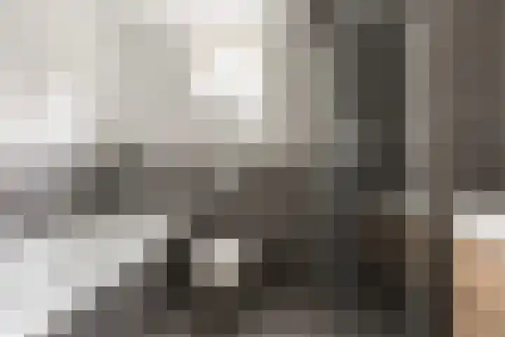 Sterremos 14 Bergschenhoek thumbnail 24