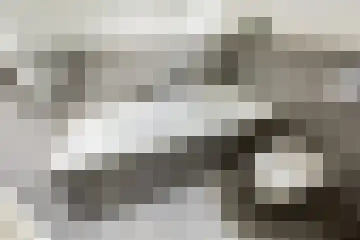 Sterremos 14 Bergschenhoek thumbnail 25