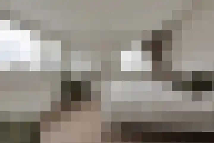 Sterremos 14 Bergschenhoek thumbnail 27