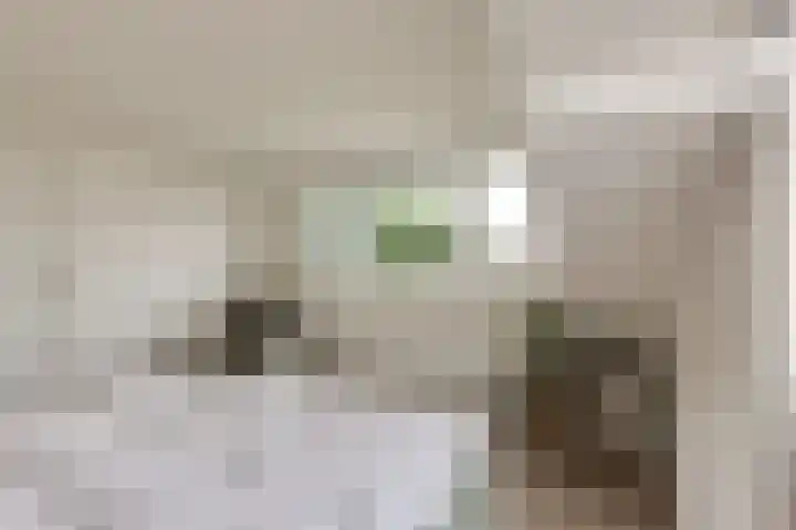 Sterremos 14 Bergschenhoek thumbnail 29