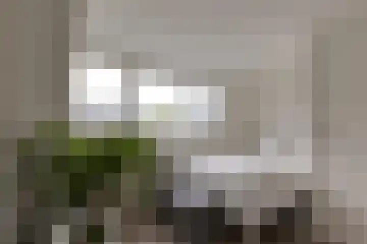 Sterremos 14 Bergschenhoek thumbnail 30