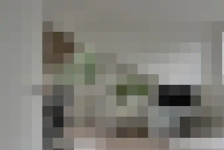 Sterremos 14 Bergschenhoek thumbnail 31