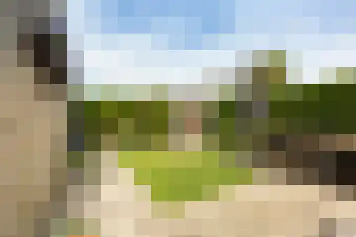 Sterremos 14 Bergschenhoek thumbnail 34
