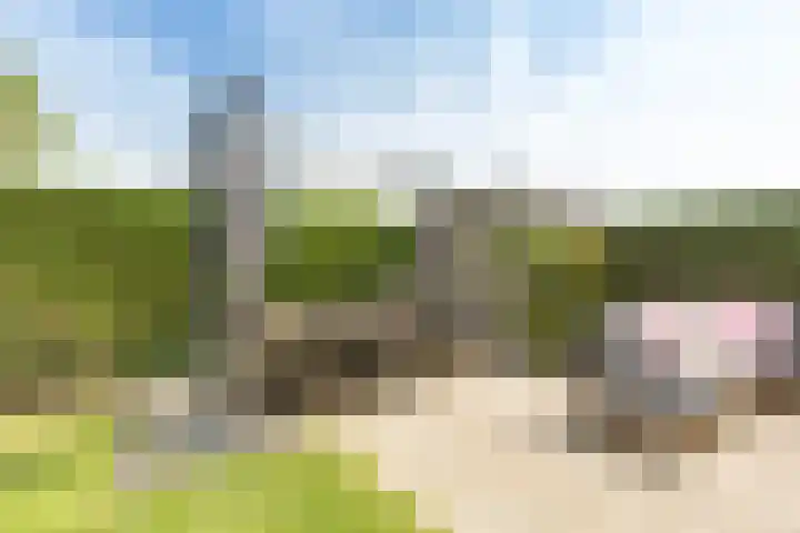 Sterremos 14 Bergschenhoek thumbnail 35