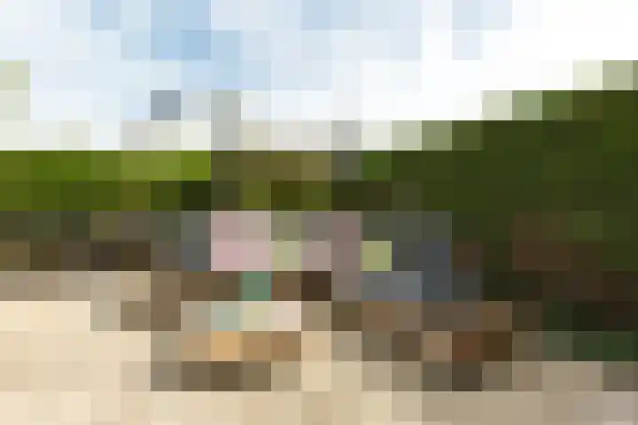 Sterremos 14 Bergschenhoek thumbnail 36