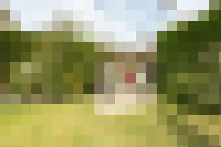 Sterremos 14 Bergschenhoek thumbnail 37
