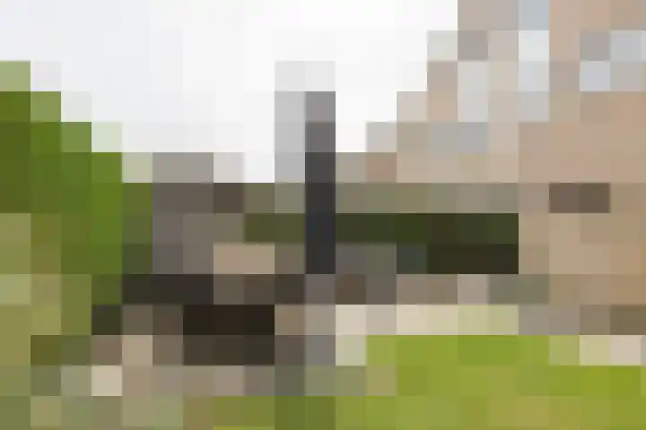 Sterremos 14 Bergschenhoek thumbnail 38