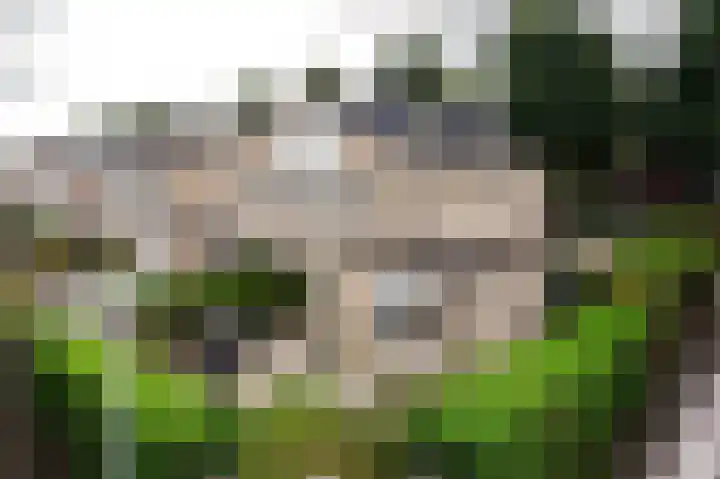 Sterremos 14 Bergschenhoek thumbnail 39