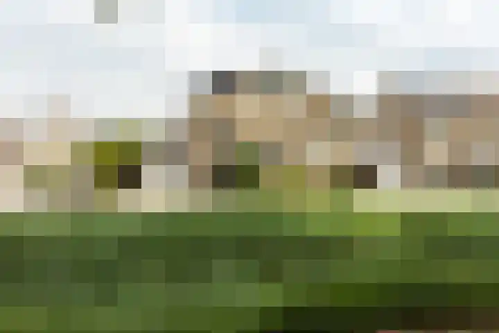 Sterremos 14 Bergschenhoek thumbnail 40
