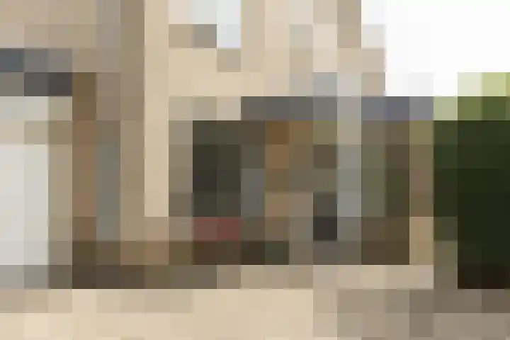 Sterremos 14 Bergschenhoek thumbnail 6