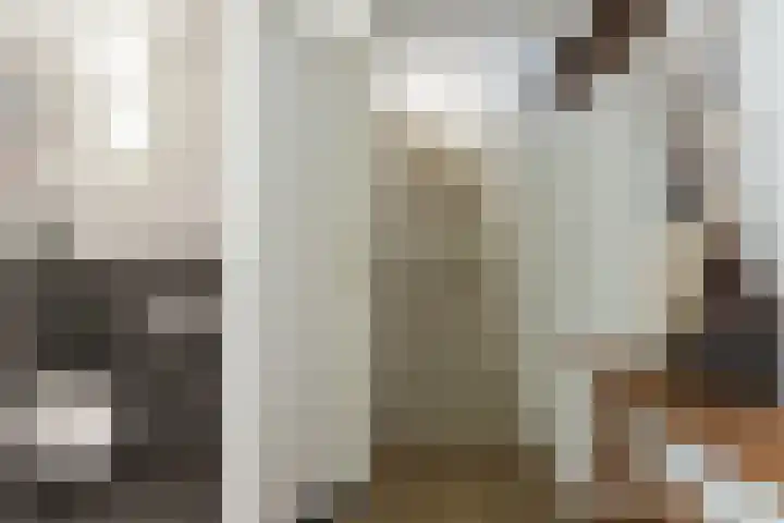 Sterremos 14 Bergschenhoek thumbnail 8