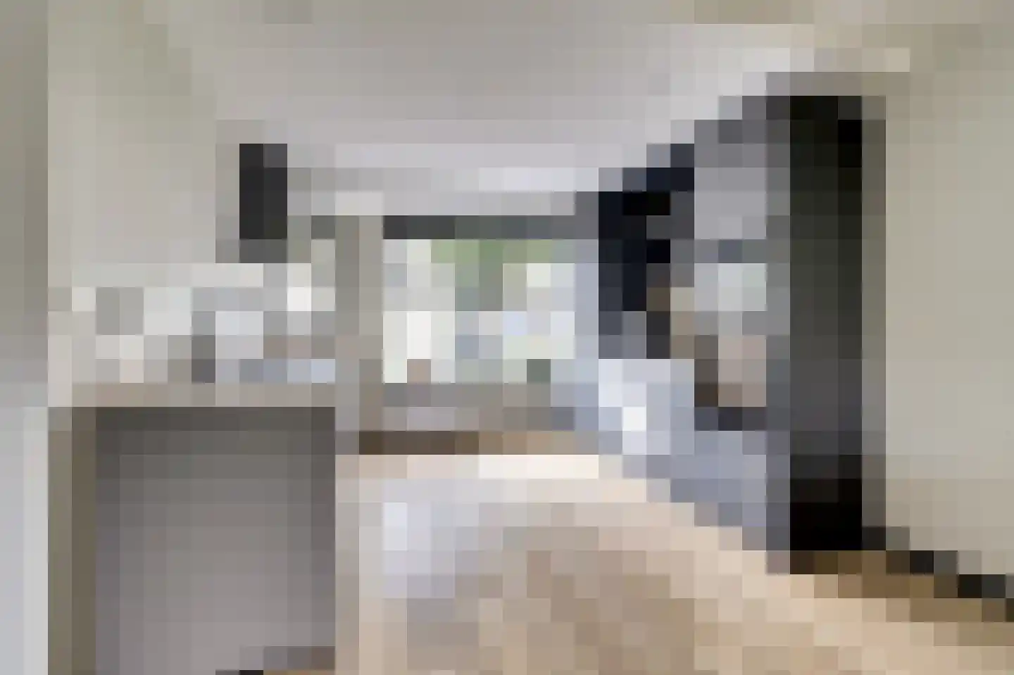 Sterremos 19 Veenendaal thumbnail 11