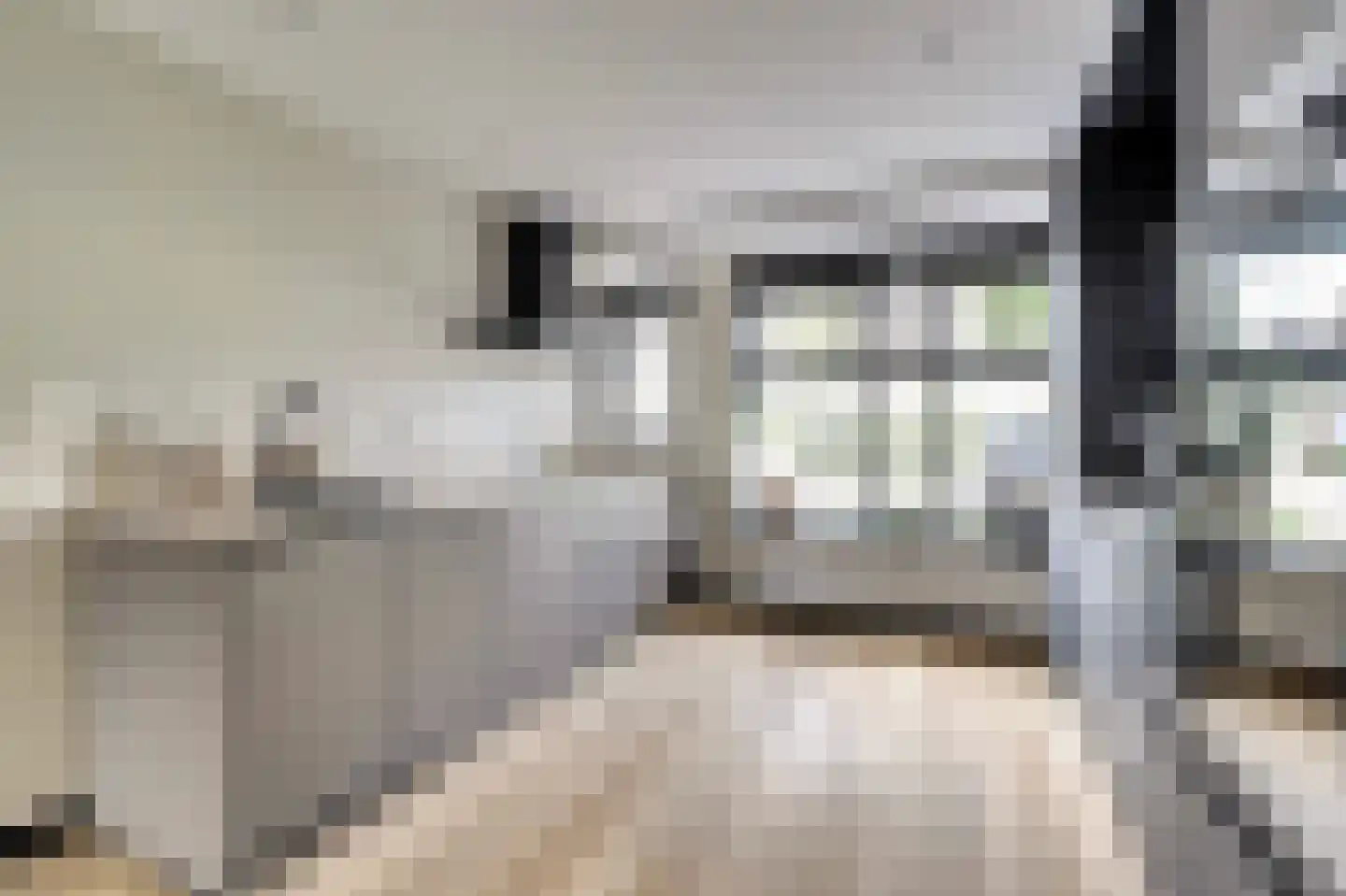 Sterremos 19 Veenendaal thumbnail 12