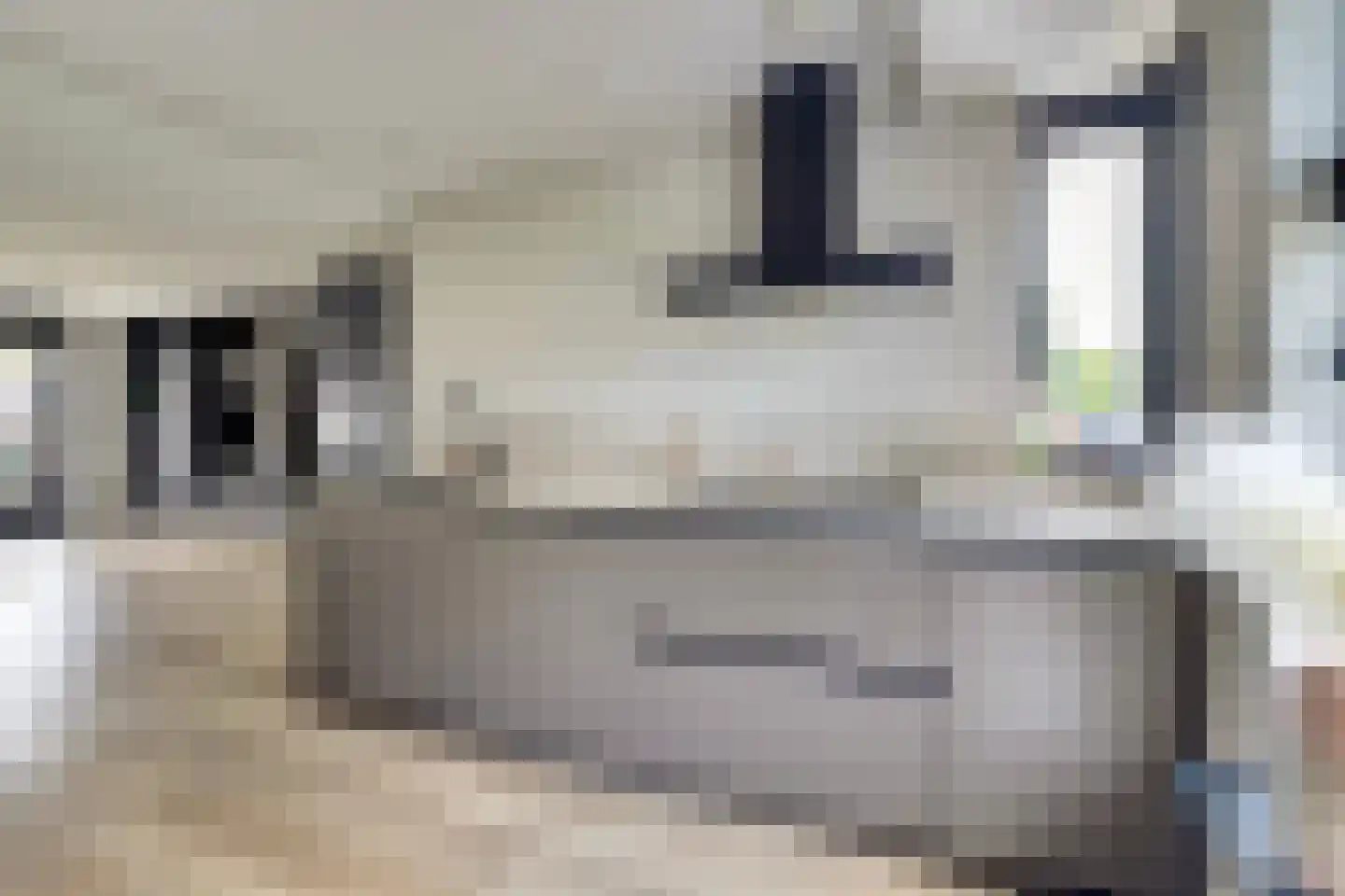 Sterremos 19 Veenendaal thumbnail 14