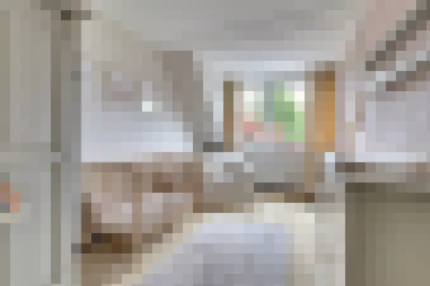 Sterremos 19 Veenendaal thumbnail 19