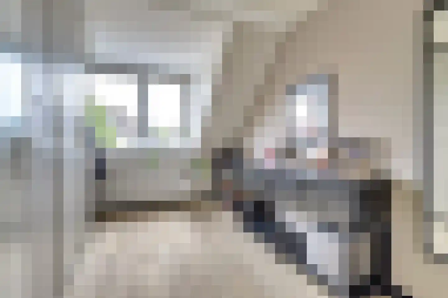 Sterremos 19 Veenendaal thumbnail 21