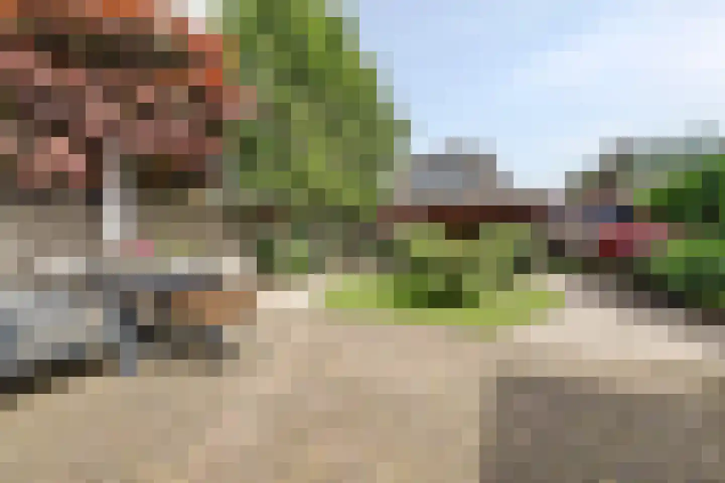 Sterremos 19 Veenendaal thumbnail 30