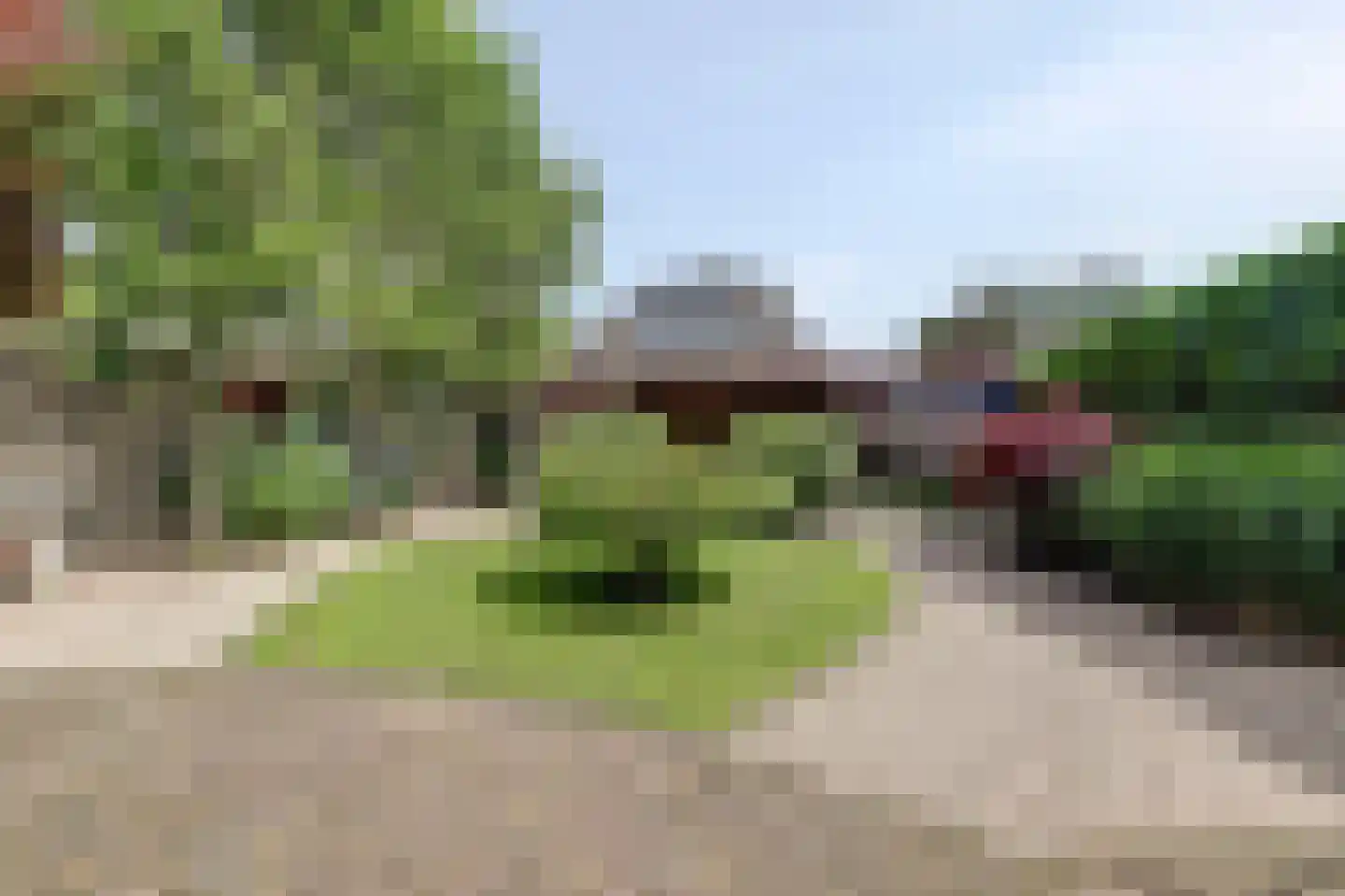 Sterremos 19 Veenendaal thumbnail 31