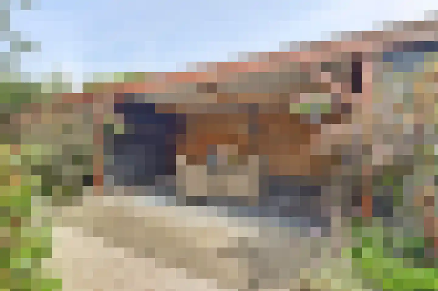 Sterremos 19 Veenendaal thumbnail 32