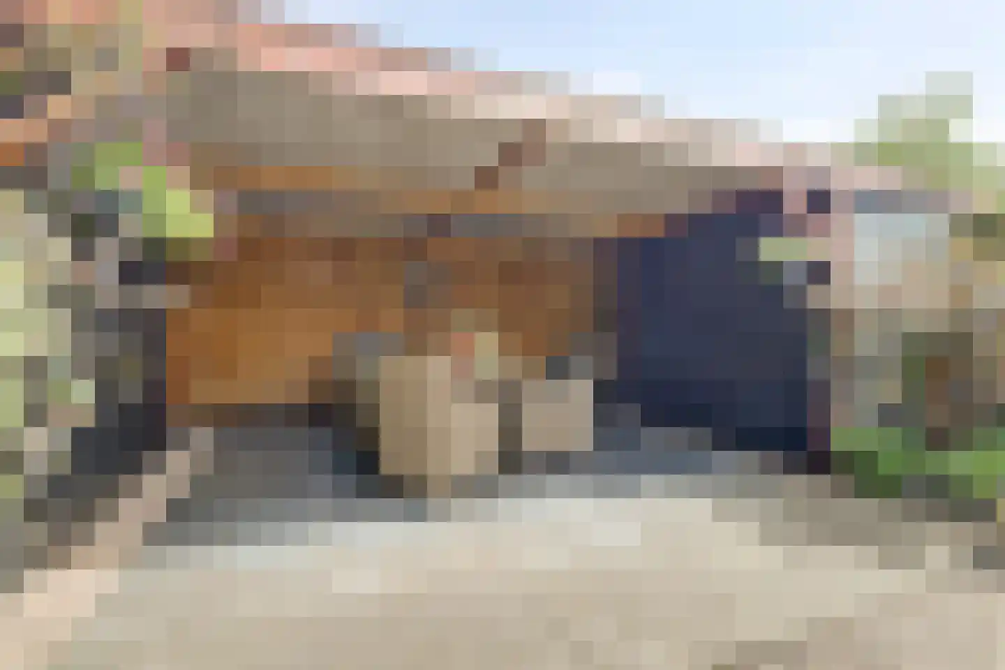 Sterremos 19 Veenendaal thumbnail 33