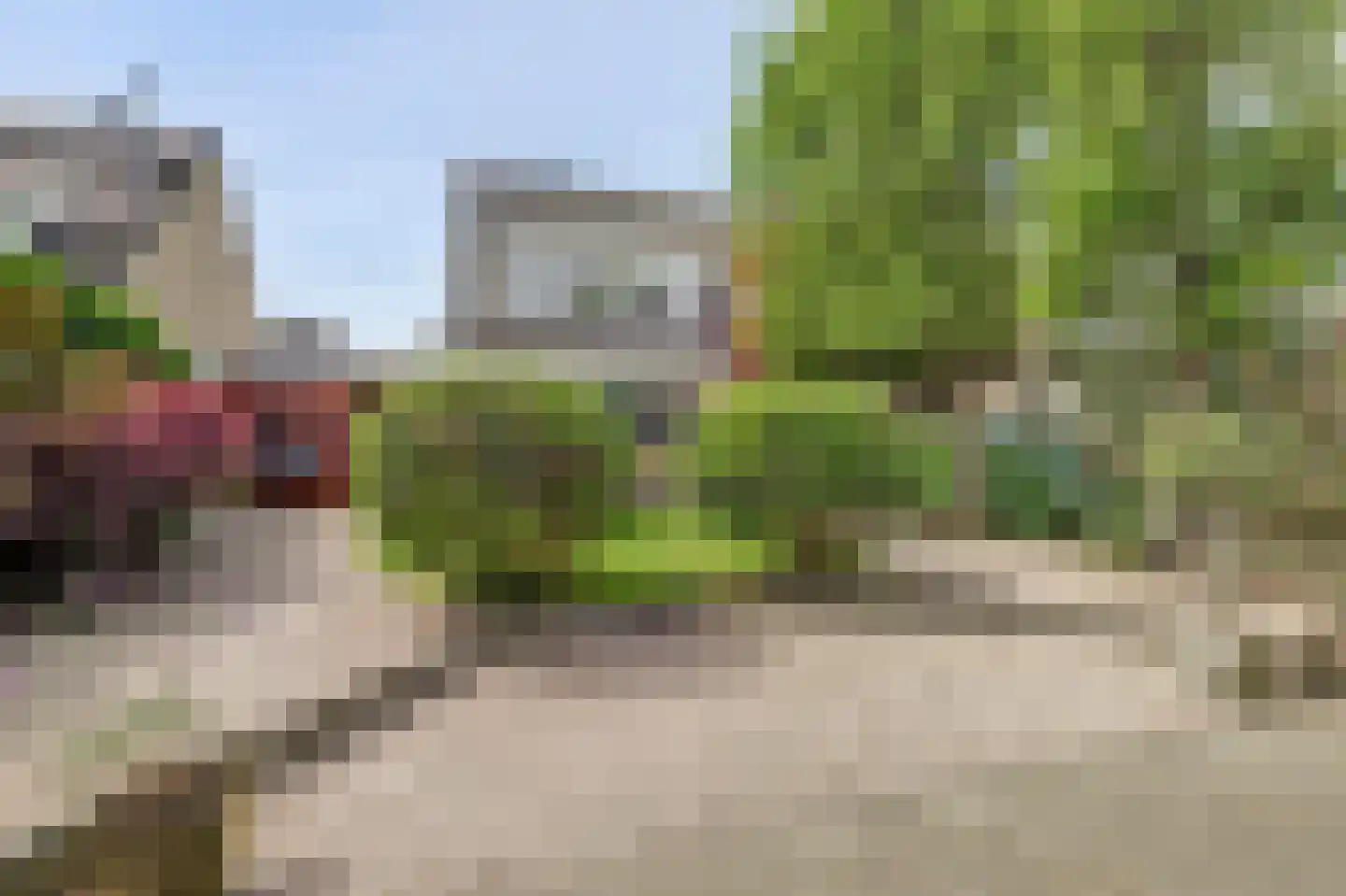 Sterremos 19 Veenendaal thumbnail 34