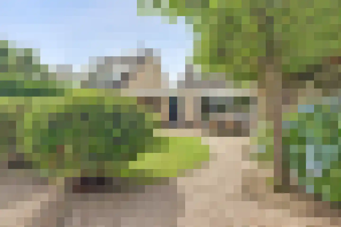 Sterremos 19 Veenendaal thumbnail 37