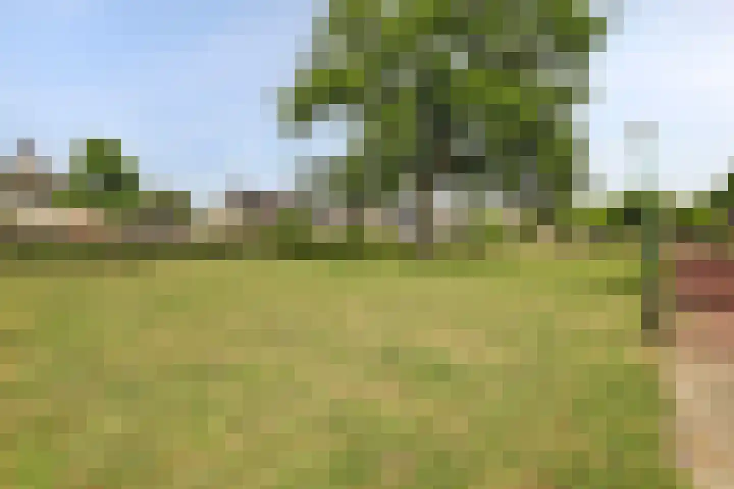 Sterremos 19 Veenendaal thumbnail 41