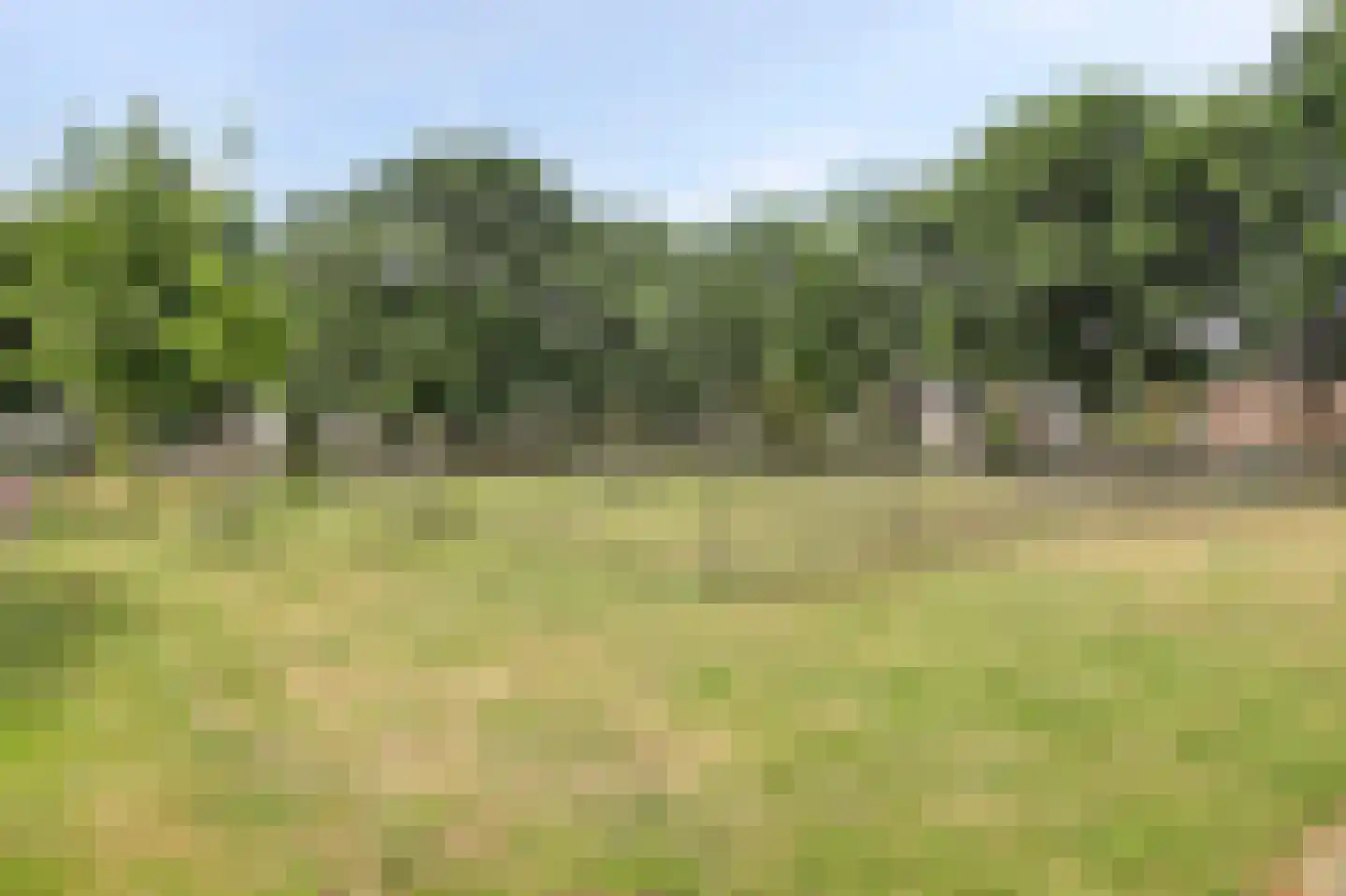 Sterremos 19 Veenendaal thumbnail 42