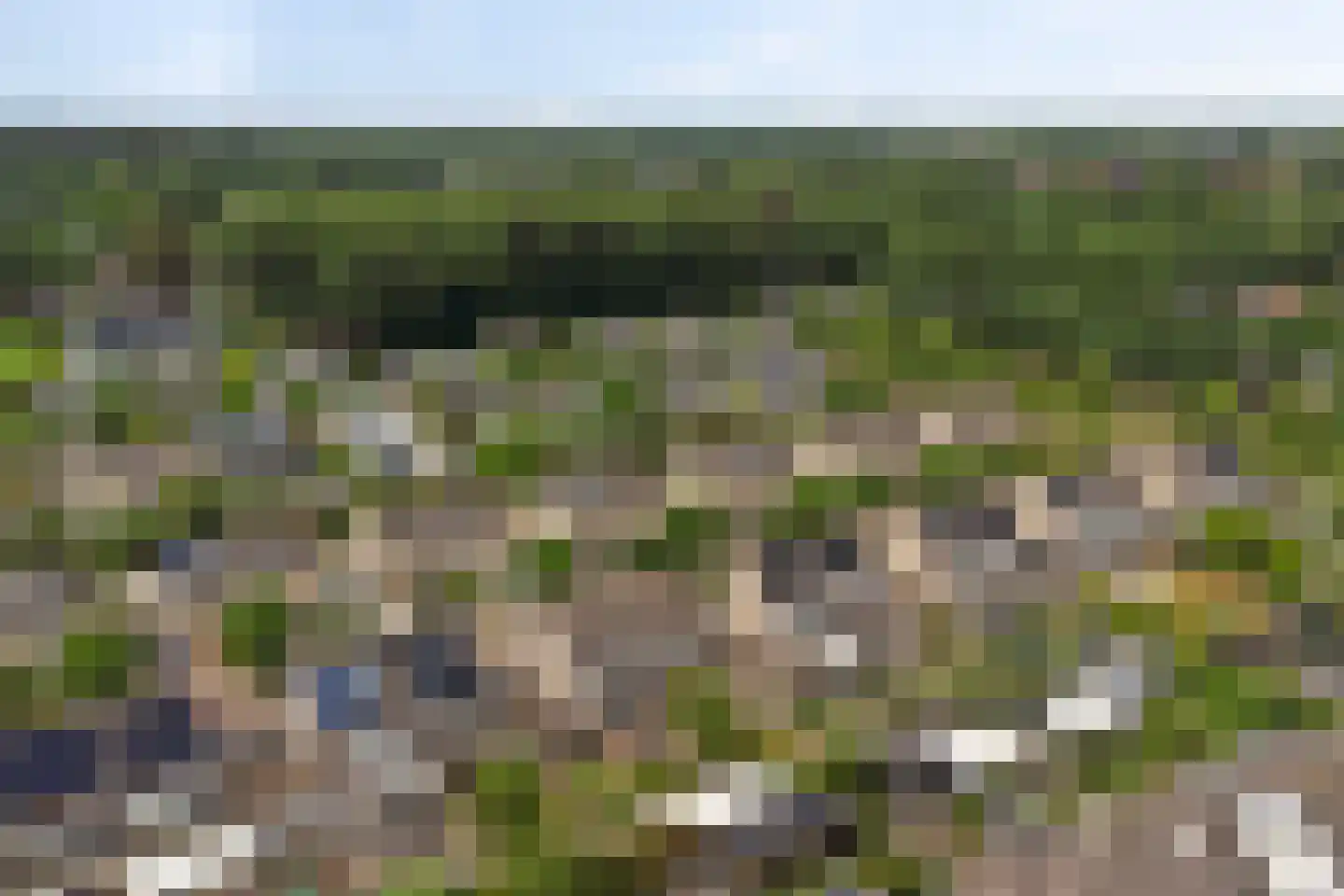 Sterremos 19 Veenendaal thumbnail 44