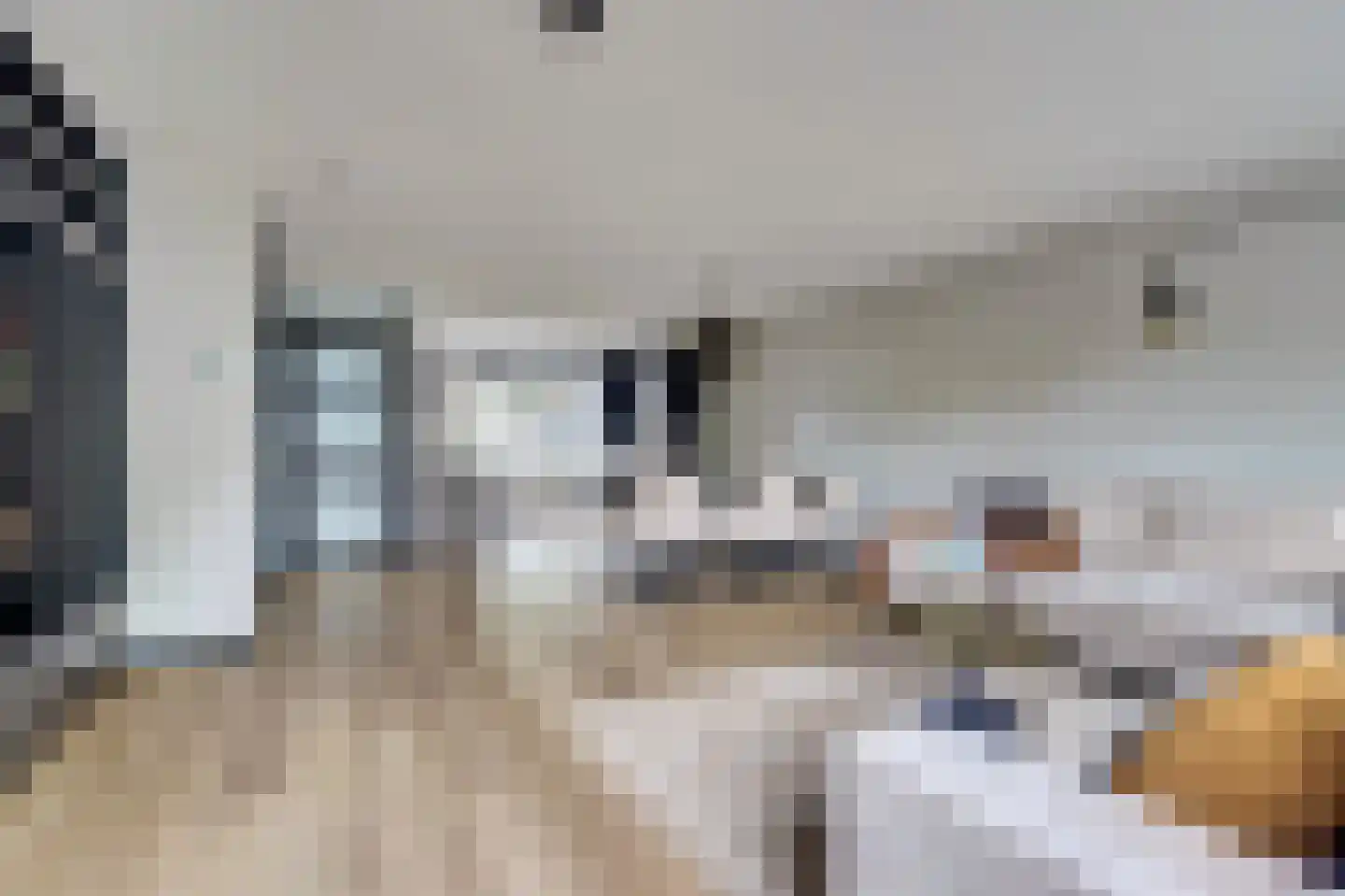 Sterremos 19 Veenendaal thumbnail 9