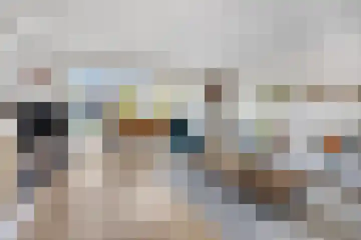 Sterremos 20 Veenendaal thumbnail 12
