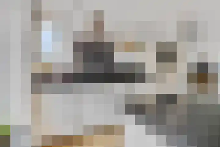Sterremos 20 Veenendaal thumbnail 17