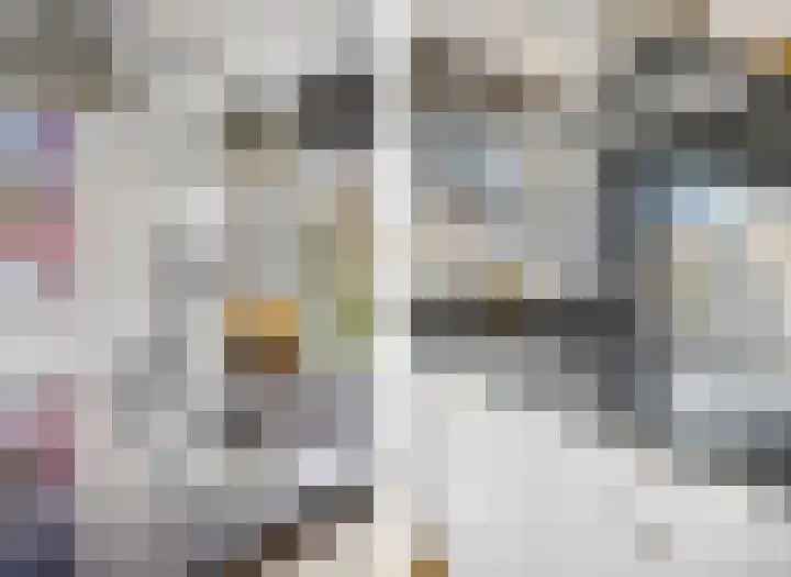 Sterremos 20 Veenendaal thumbnail 18