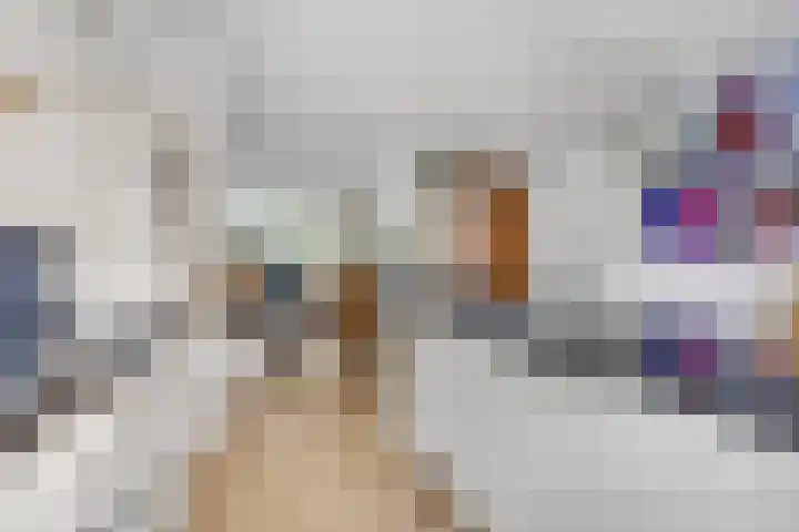 Sterremos 20 Veenendaal thumbnail 19