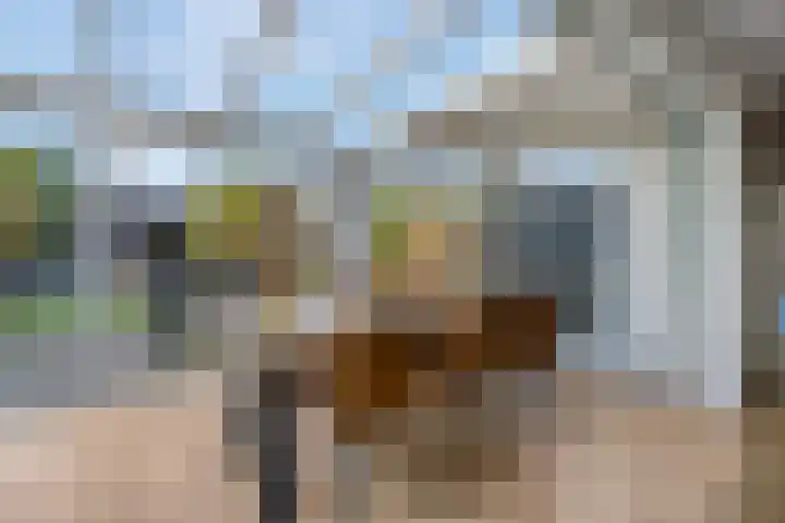 Sterremos 20 Veenendaal thumbnail 20