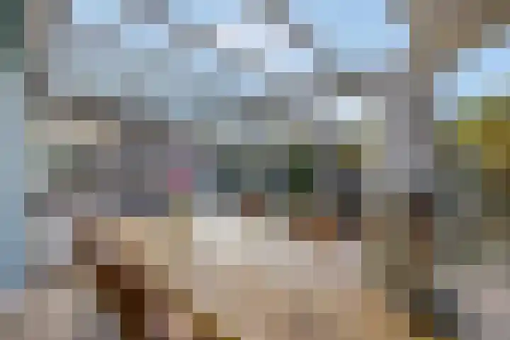 Sterremos 20 Veenendaal thumbnail 21