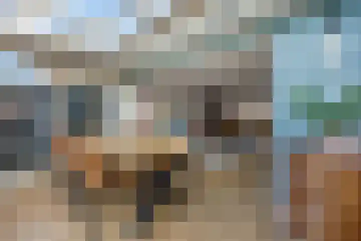 Sterremos 20 Veenendaal thumbnail 22