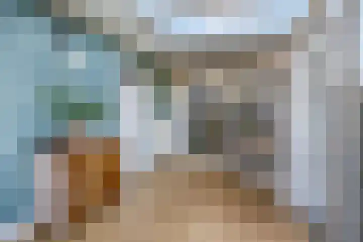 Sterremos 20 Veenendaal thumbnail 23
