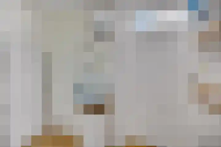 Sterremos 20 Veenendaal thumbnail 25