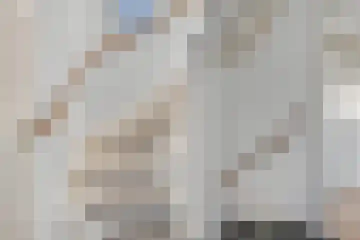 Sterremos 20 Veenendaal thumbnail 28